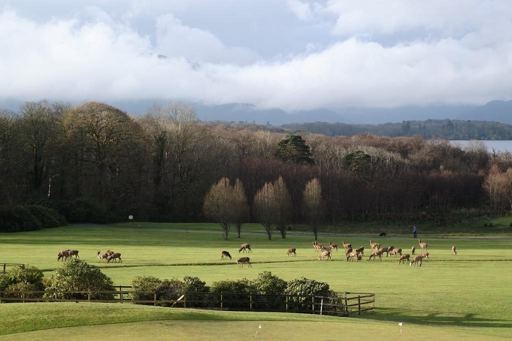 Castlerosse Park Resort Killarney Bagian luar foto